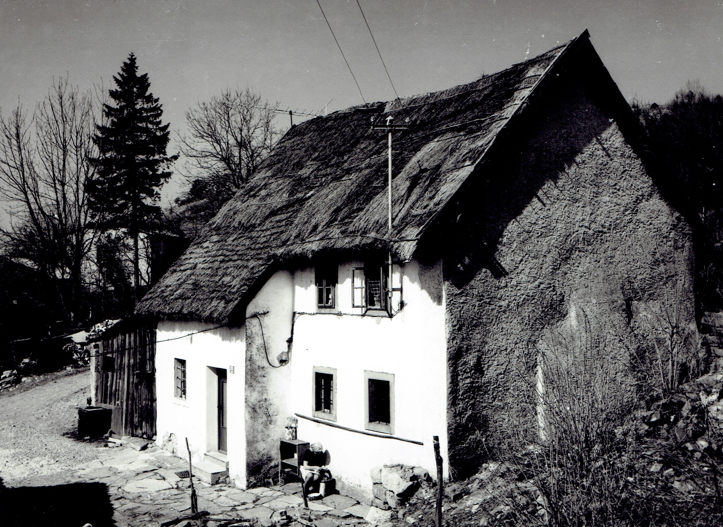 008_Jasen_Mišetova hiša1_Anton Prosen